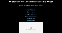 Desktop Screenshot of blumenfelds.com